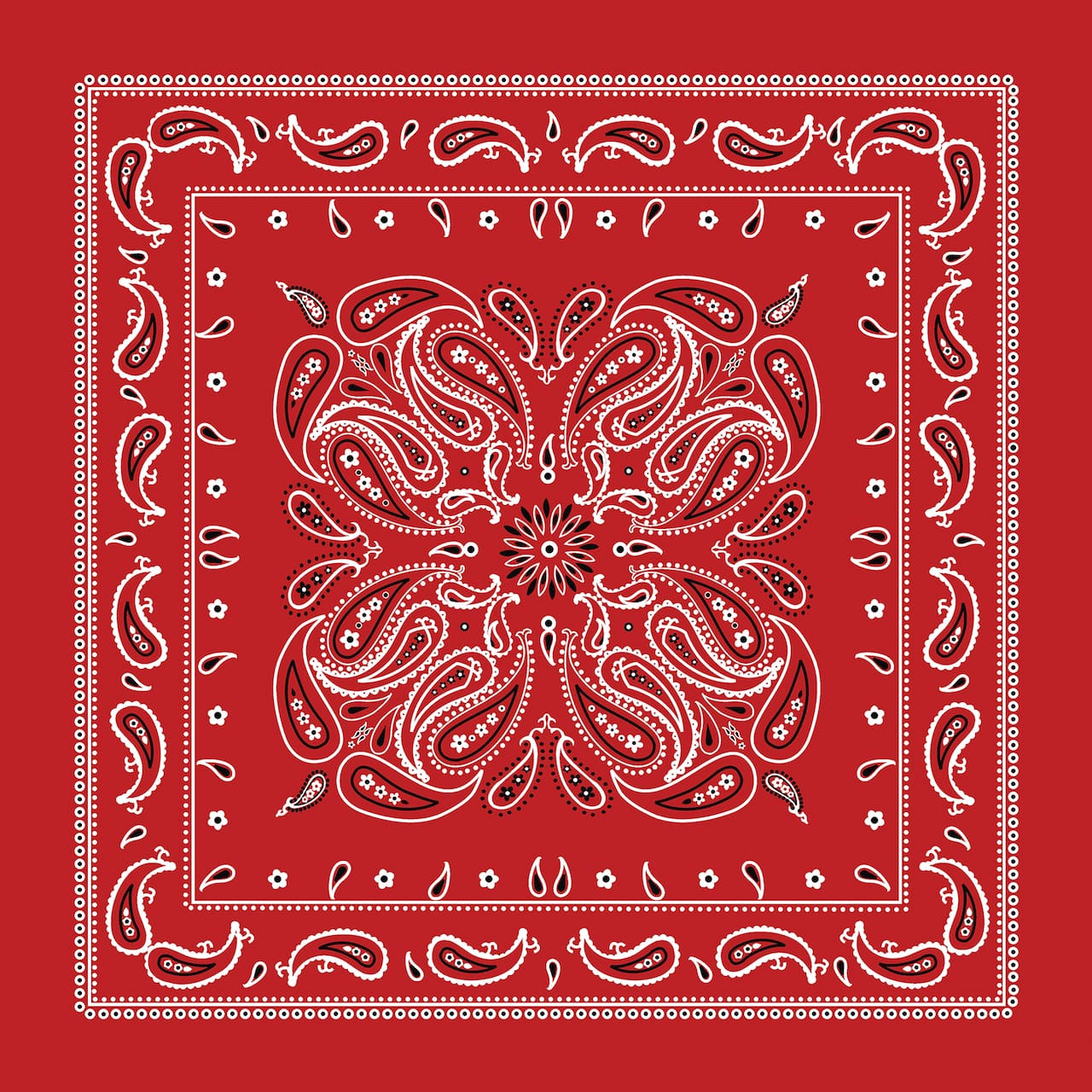 Paisley Bandana by Make Market®